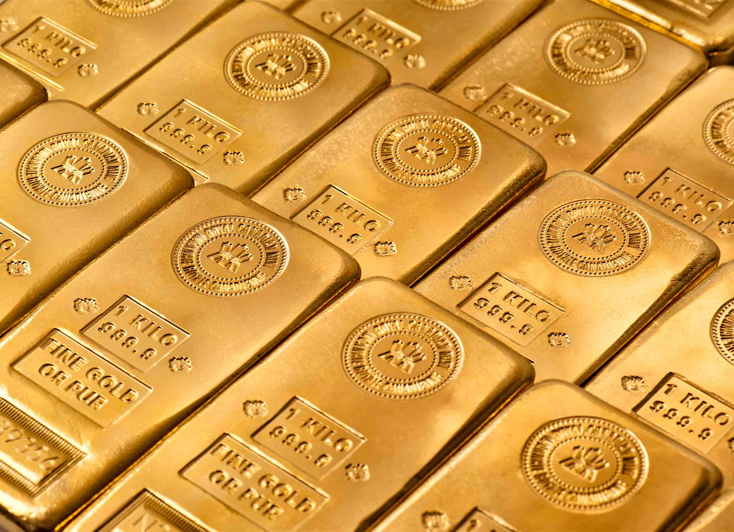 White gold price per kg hotsell